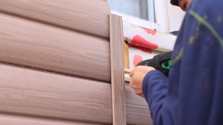 Best Shed Removal  in Ajo, AZ